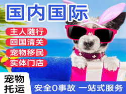 扬州泰州国际宠物托运 【国